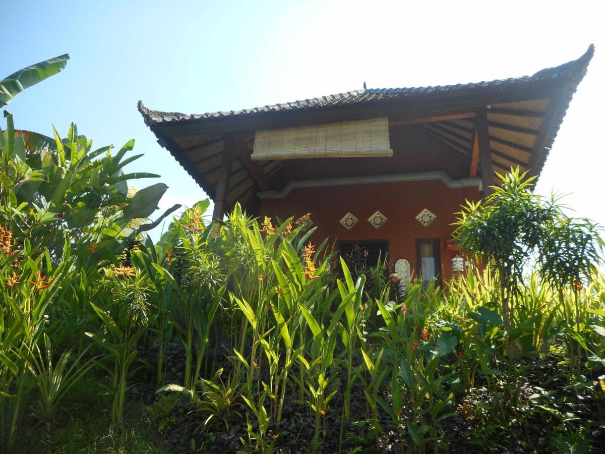 Cegeng Lestari Guesthouse Sidemen  Extérieur photo